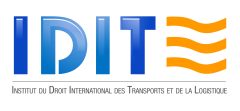 Logo IDIT (HD)